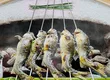 기온 마루야마 2